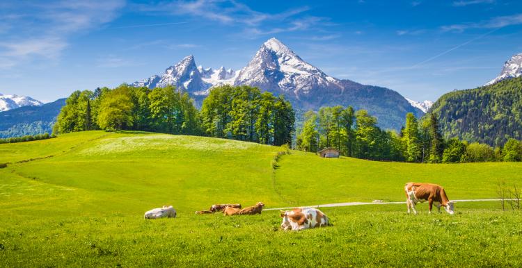  FDP Kreisverband Berchtesgadener Land